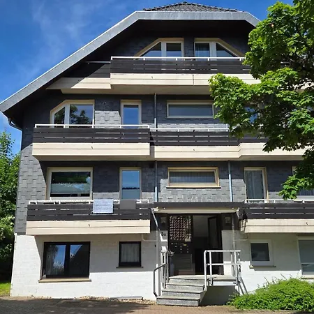 Borkenkaefer Apartment Goslar
